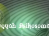 ruqyah psikosomatis